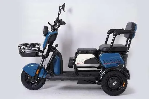 Electric Trike For Adults